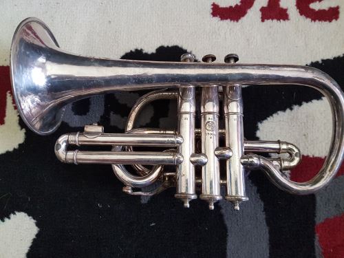 Triumph Cornet